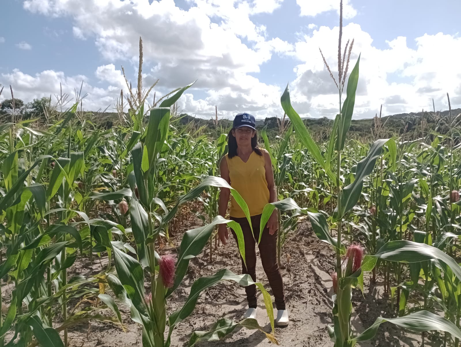 Atividade presencial de extensão rural com agricultores familiares